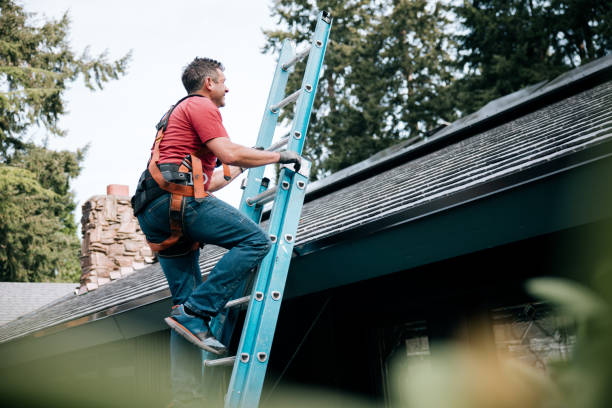 Best Storm Damage Roof Repair  in Wolf Lake, MI